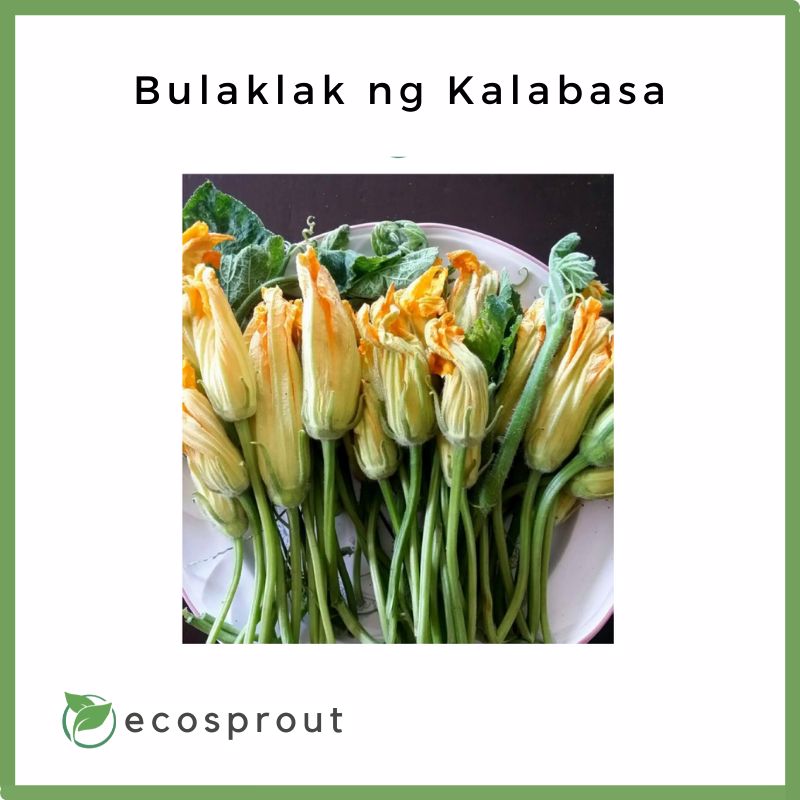 Bulaklak Ng Kalabasa Recipe