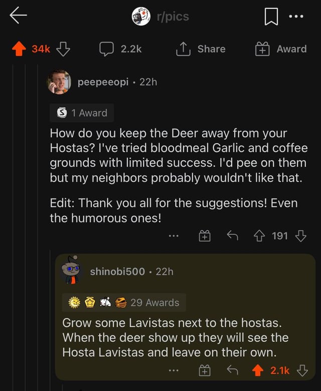 Do Coffee Grounds Keep Deer Away