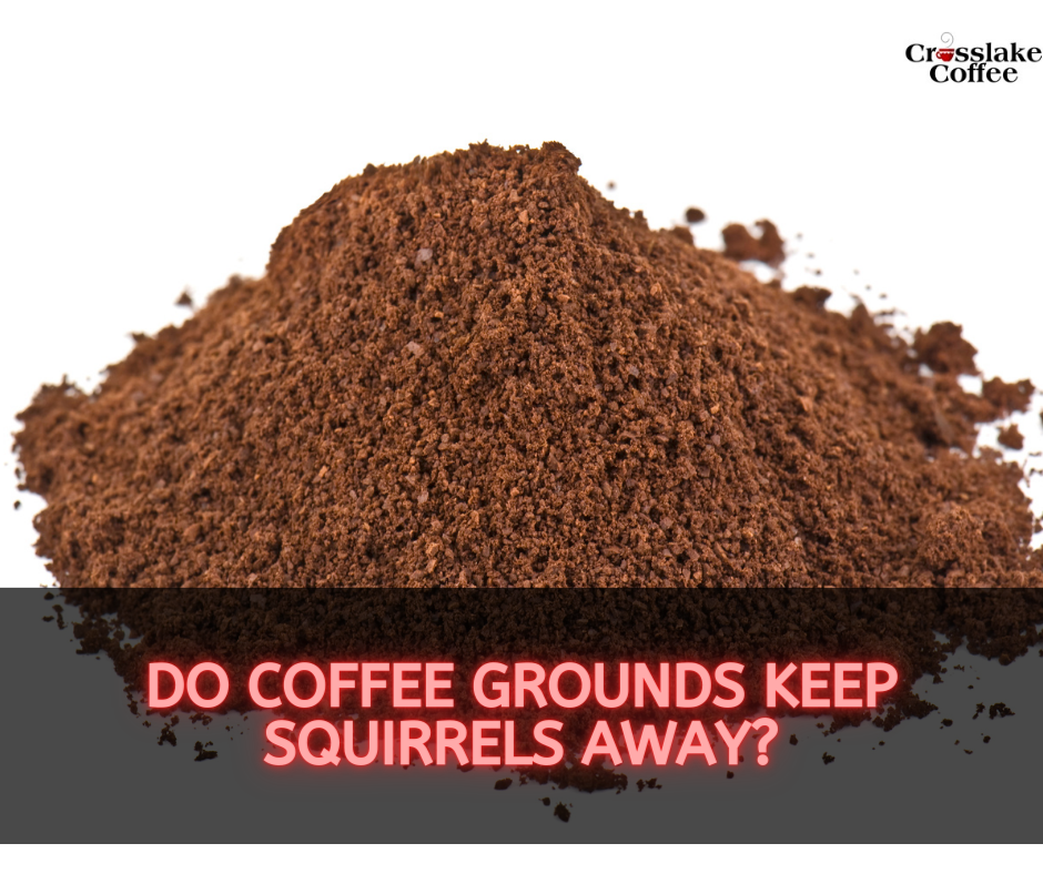 Do Coffee Grounds Keep Squirrels Away