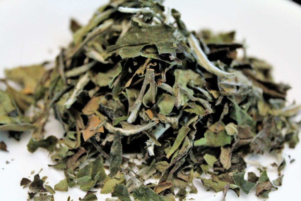 Does White Tea Have Caffeine