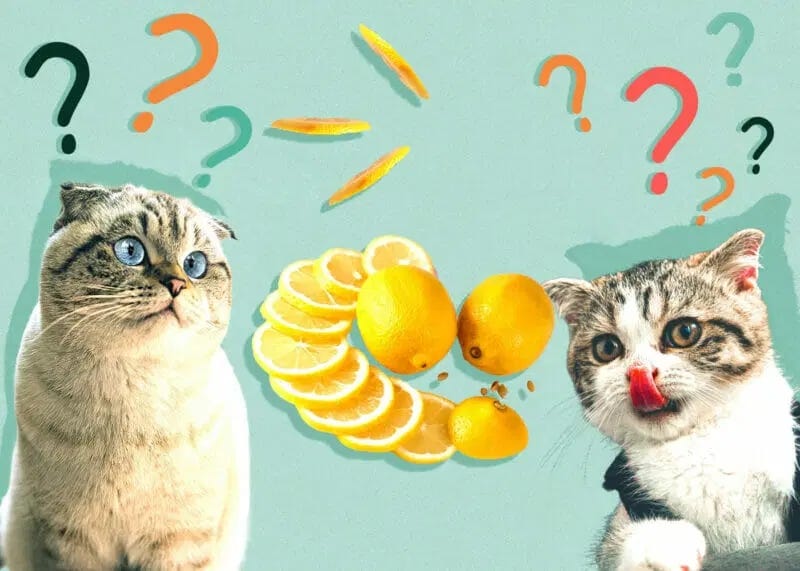 Is Lime Juice Good for You